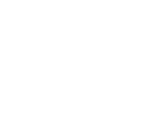 2019 Orange City Tulip Festival