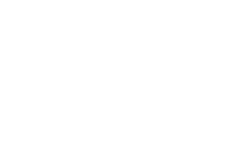 2023 Orange City Tulip Festival